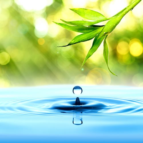 Bamboo leaf, fresh, with water drop on blue water and summer background